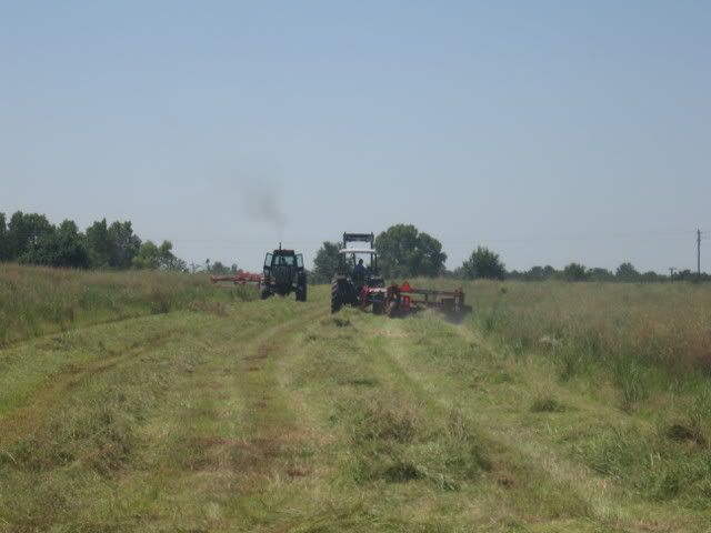 Native Prairie Hay Grasses? - Homesteading Questions