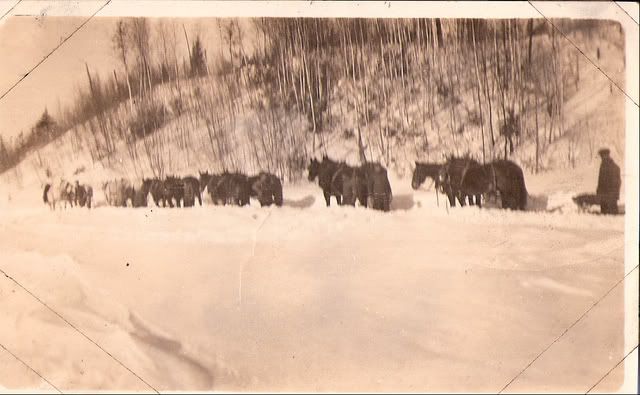 When men were men - Countryside Families