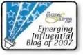 Emerging Influential Blog Award Graphic