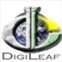 DigiLeaf Graphic