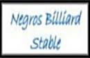 Negros Billiard Stable Graphic