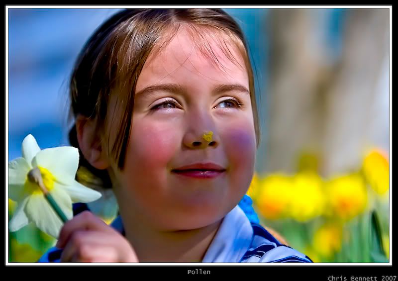 IMAGE: http://i168.photobucket.com/albums/u185/nzshrimper/pollenwithfilllight.jpg