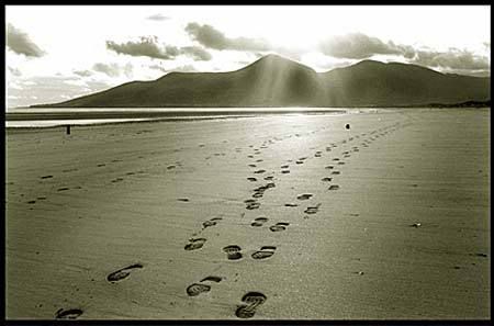 footprints in sand Pictures, Images and Photos