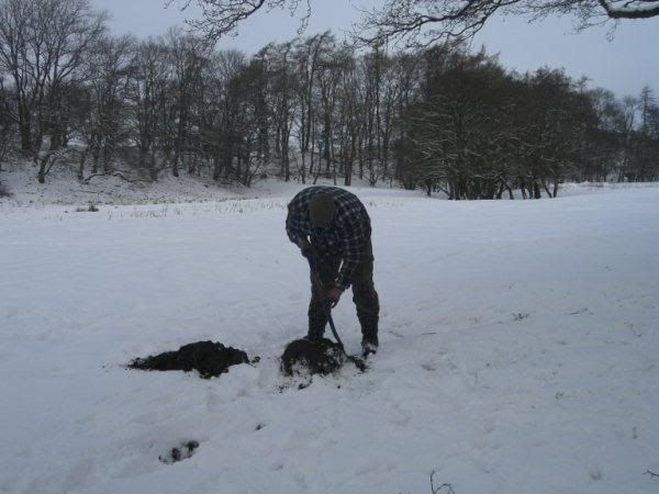 ferreting1.jpg
