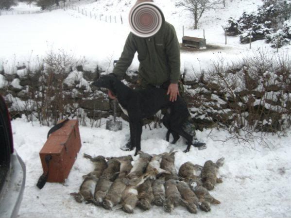 ferreting9.jpg