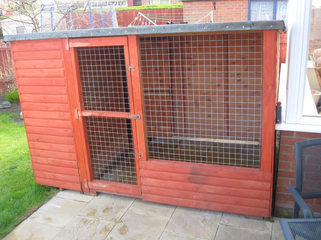 kennel001.jpg