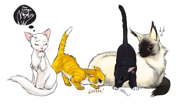 Team7asNekos.jpg Neko team 7 picture by naruhina93 Team7asNekos.jpg Neko team 7 picture by naruhina93