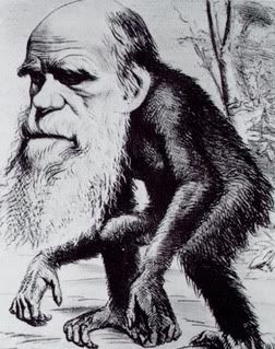Charles_Darwin_ape.jpg