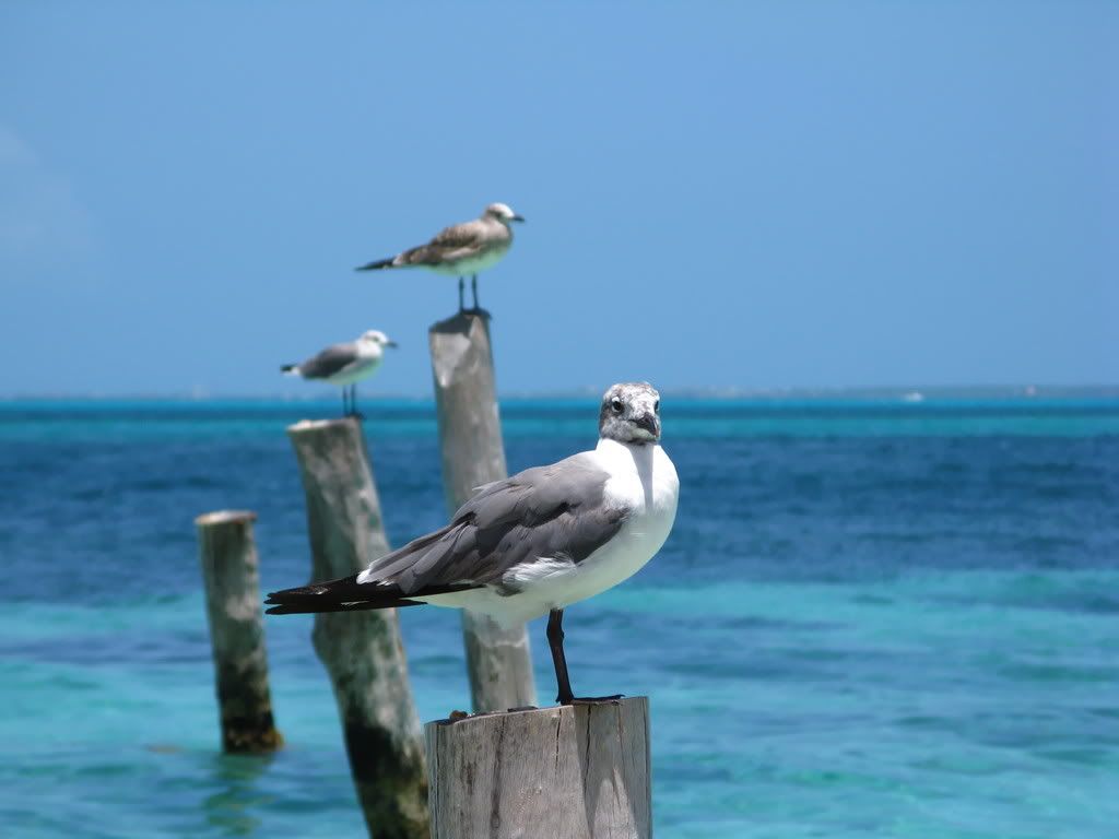 IMAGE: http://i168.photobucket.com/albums/u189/miiij/IMG_2870.jpg