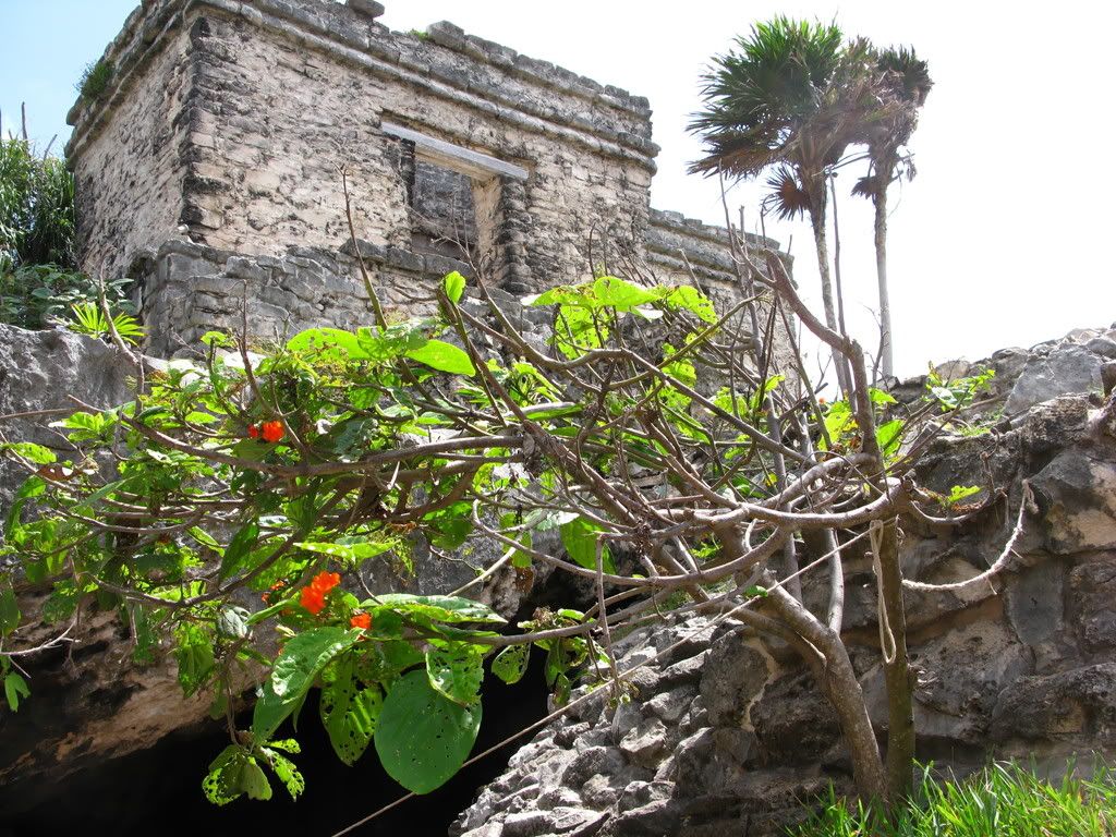 IMAGE: http://i168.photobucket.com/albums/u189/miiij/IMG_2887.jpg