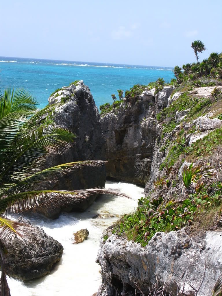 IMAGE: http://i168.photobucket.com/albums/u189/miiij/IMG_2924.jpg