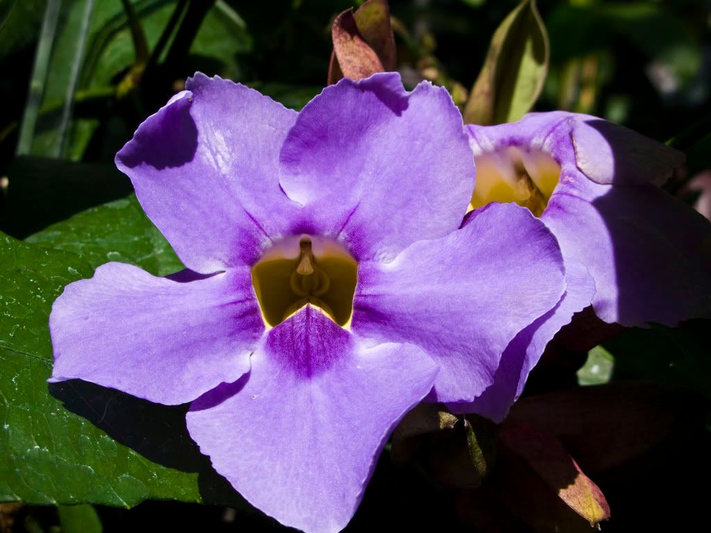 IMAGE: http://i168.photobucket.com/albums/u189/miiij/IMG_3072.jpg