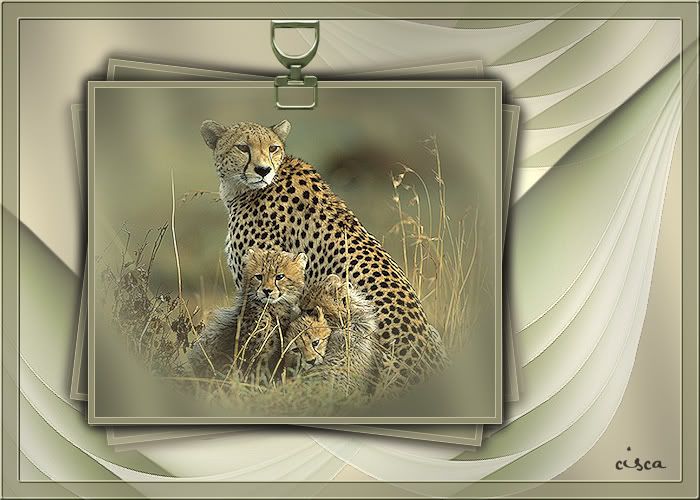 294_Cheetah.jpg picture by Princess1944
