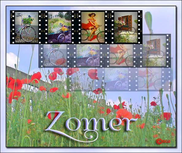 39_Zomer.jpg picture by Princess1944