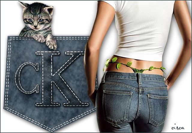Jeans-teksteffect-blog.jpg picture by Princess1944