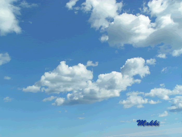 Makkivlucht.gif picture by Princess1944