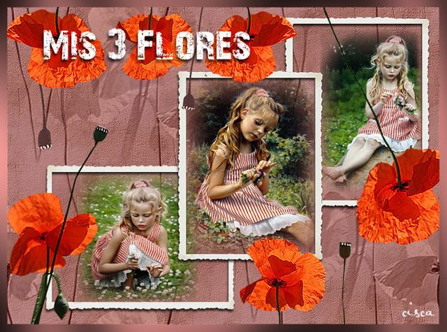 Mis-3-flores-blog.jpg picture by Princess1944
