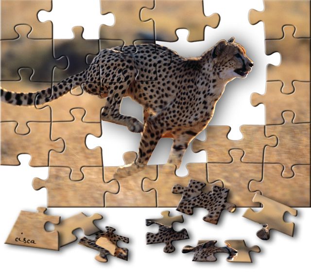 Puzzel-Cheetah-uit-kader-blog.jpg picture by Princess1944