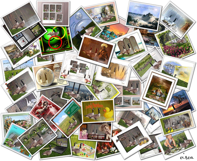 collage-project-57-blog.gif picture by Princess1944