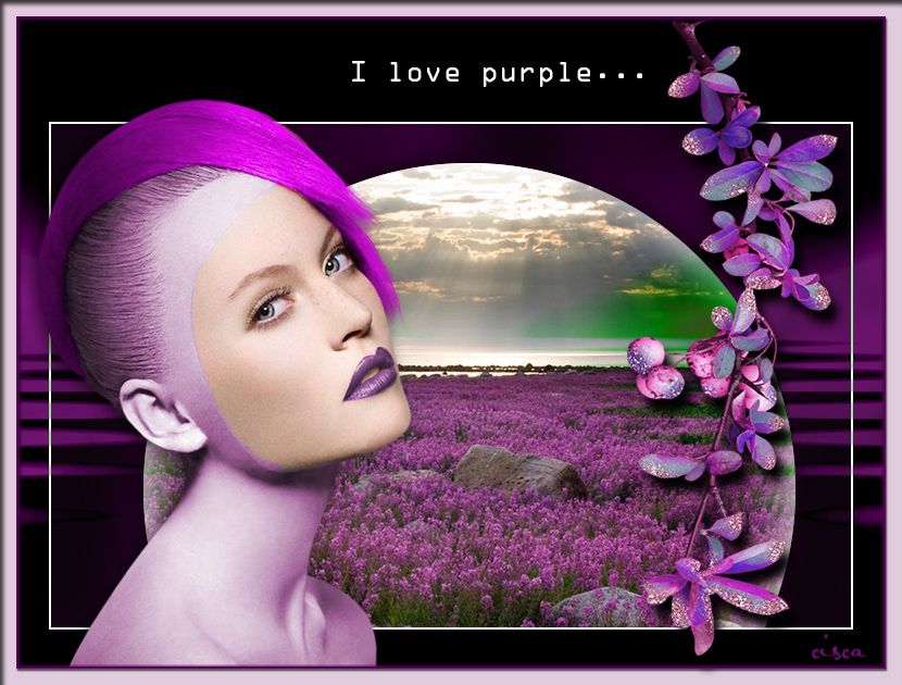  photo Clown-Purple_zps402c3b30.jpg