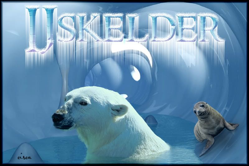Project30-ijskelder-ijsbeer.jpg picture by Princess1944