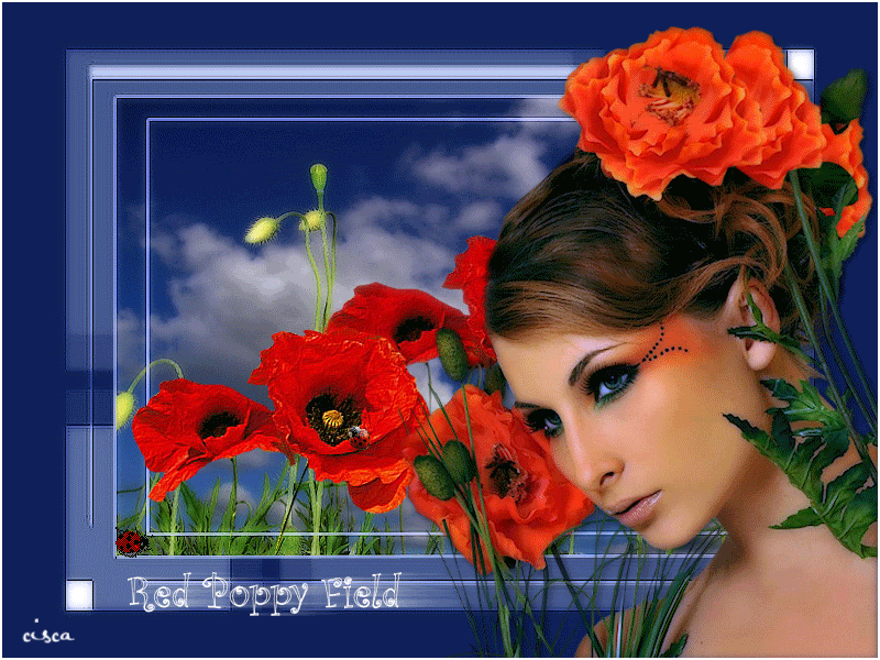 Red-Poppy-Field.gif picture by Princess1944