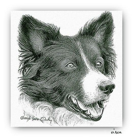 border-collie_handeling.jpg picture by Princess1944