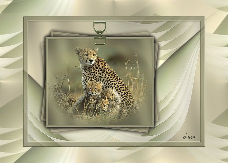 cheetah-mail-blog.jpg picture by Princess1944