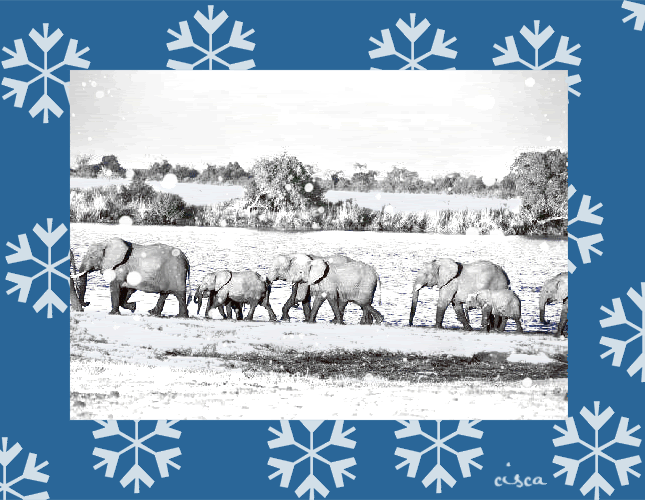 elephants-in-snowpenselen.gif picture by Princess1944