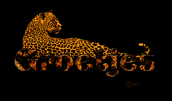 luipaard-met-lichtstraal.gif