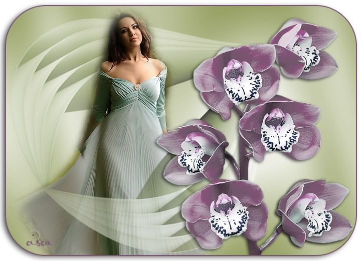 orchidee-blog.jpg picture by Princess1944