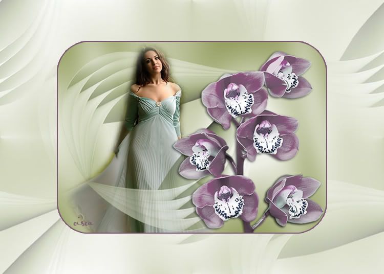 orchidee-mail.jpg picture by Princess1944
