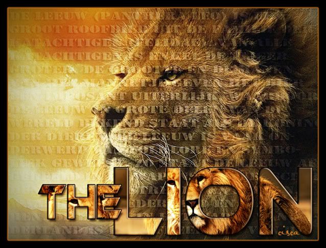 the-lion-blog.jpg picture by Princess1944