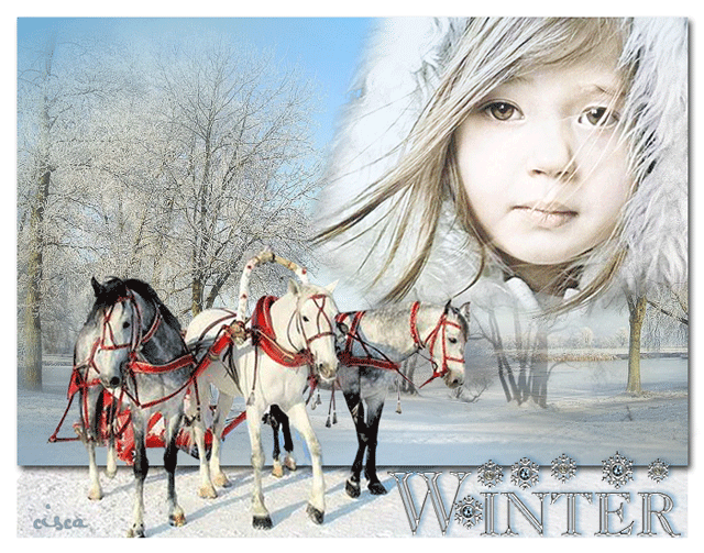 winter-blog.gif picture by Princess1944