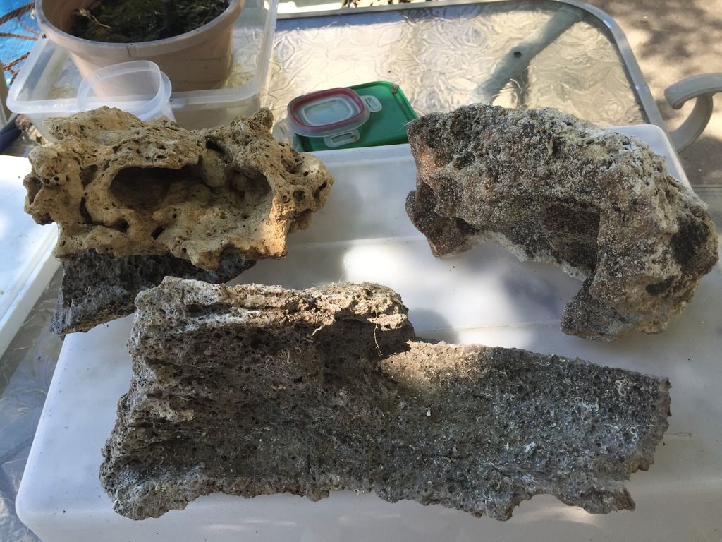 951E8D35 4BCA 4EF9 9336 FA1E9E3C04C9 zpsotdhphua - What are you brining to the Flint Swap?