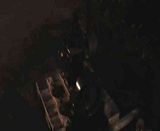 th_M2U00509.jpg