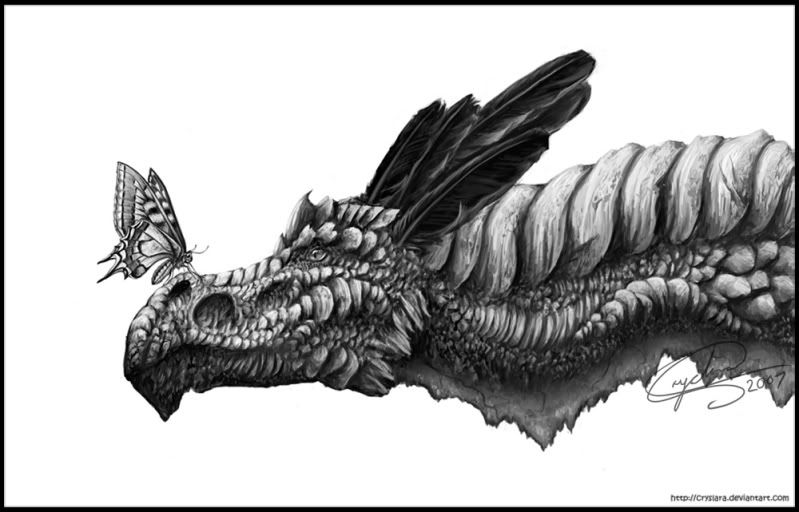 DRAGON BLACK &amp; WHITE Pictures, Images and Photos