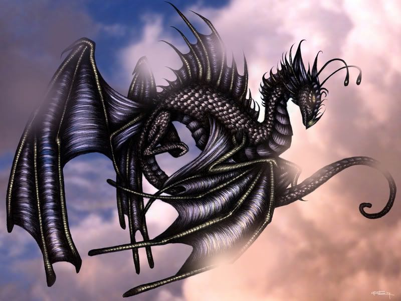 DRAGON  BLACK Pictures, Images and Photos
