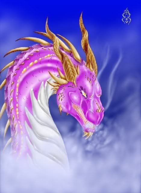 DRAGON PINK Pictures, Images and Photos