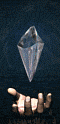 diamante_mano.gif the diamond image by rockerlopez