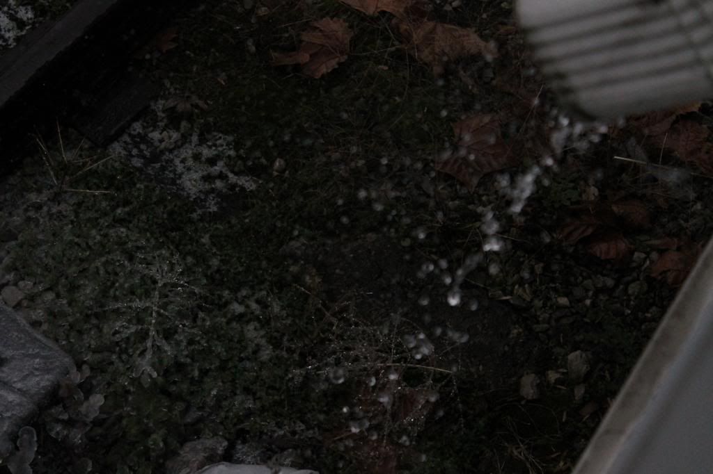 IMAGE: http://i168.photobucket.com/albums/u190/slamin81/029_zps3235a923.jpg