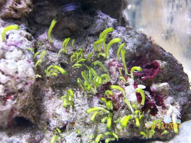 100_0828.jpg