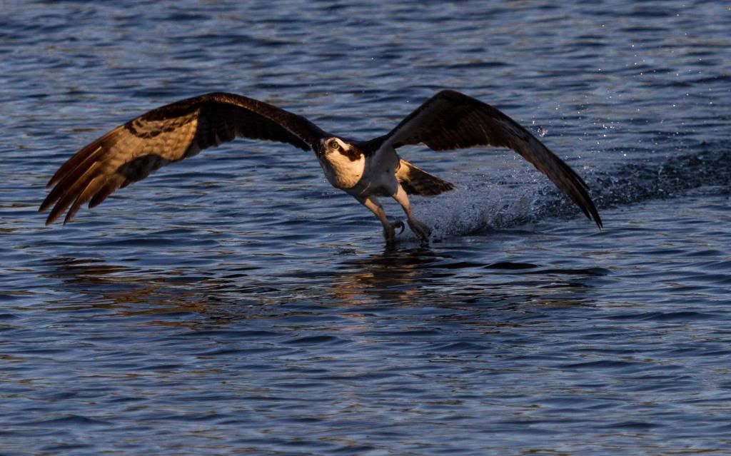 IMAGE: http://i168.photobucket.com/albums/u191/bdjsbucket/IMG_1542-9_zps217c663a.jpg