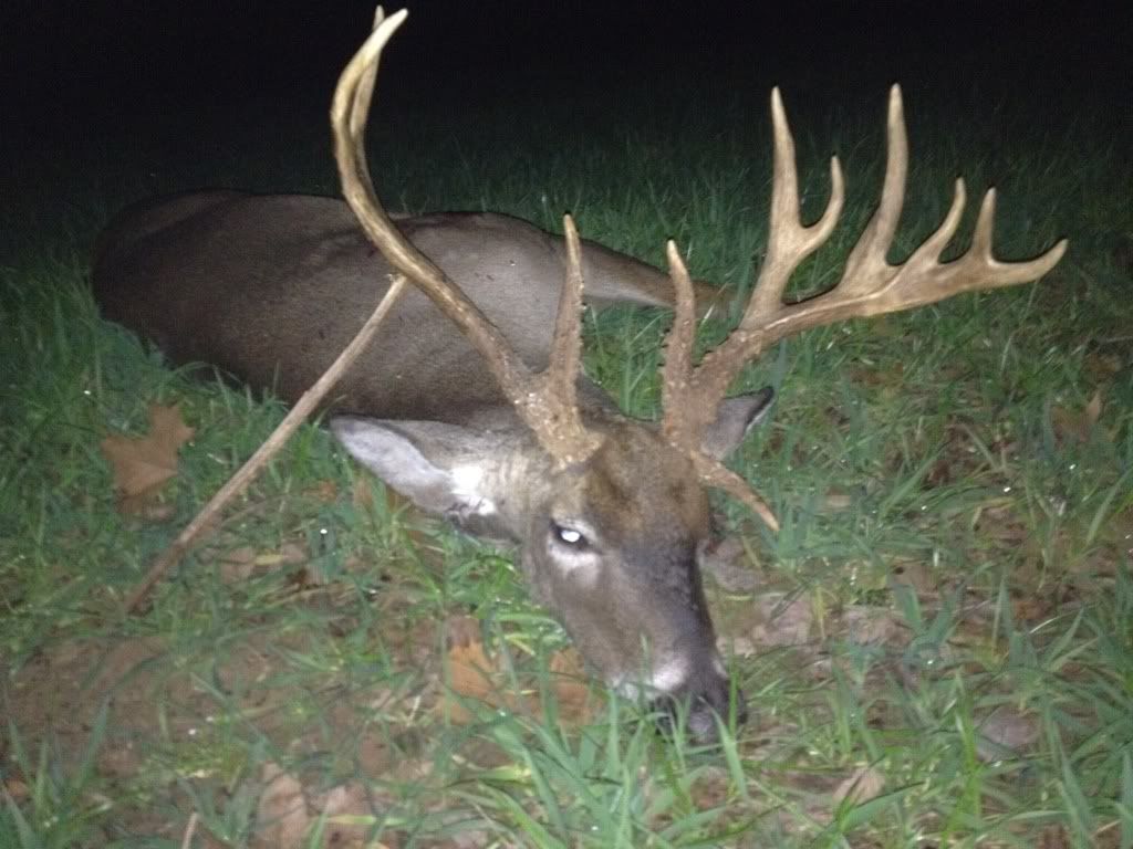 What a cull buck looks like when Mississippi Hunting and Fishing Forums