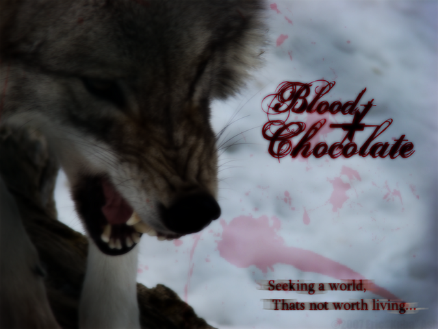 Blood and Chocolate