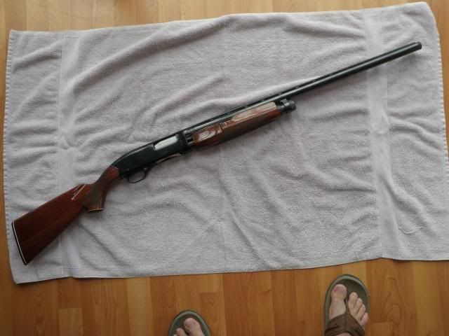 winchester photo: Winchester 1300XTR PB090011_zps2bd54923.jpg