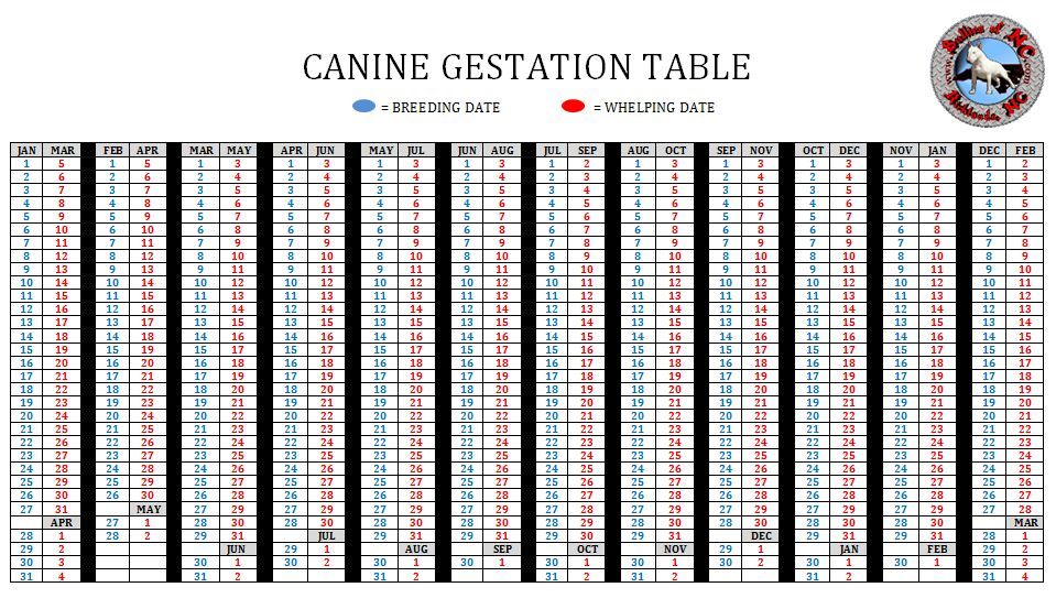 Dog Gestation Chart