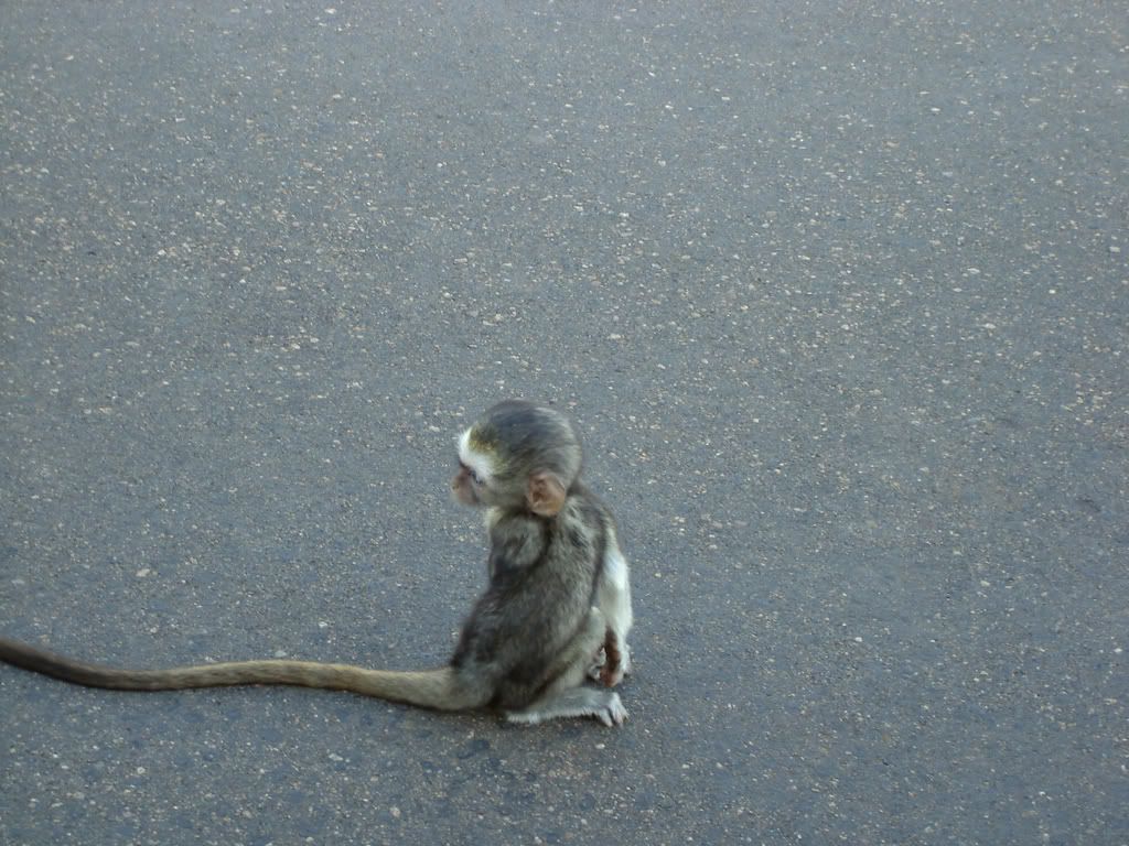 DSC02413.jpg