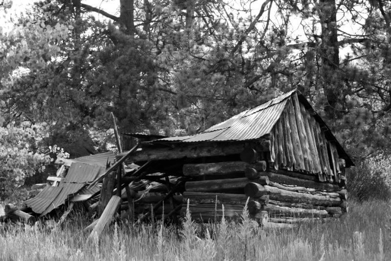 IMAGE: http://i168.photobucket.com/albums/u197/gibbo182/potnshededit.jpg