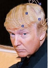Donald Trump photo: Donald Trump Hair and More DonaldTrumpHairandMore_zpsb7c507db.jpg